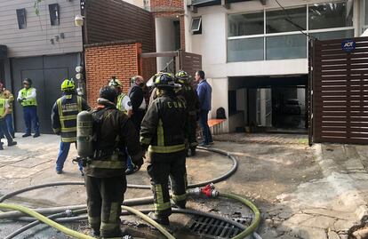 Mueren 6 perritos por incendio en departamento de la Nápoles