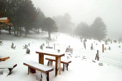 Deja estragos en al menos tres entidades el frente frío 25