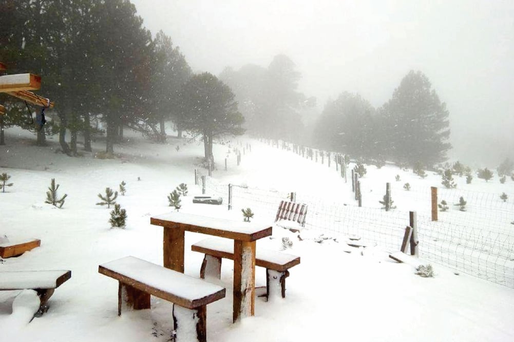 Para evitar riesgos a los visitantes, en Jalisco las autoridades cerraron el acceso al parque Nevado de Colima debido los vientos fuertes y nubosidad (PROTECCIÓN CIVIL DE JALISCO)