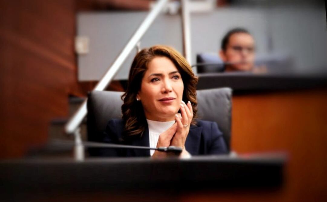 Senadora panista Ivideliza Reyes Hernández en una imagen de archivo. Foto: Especial