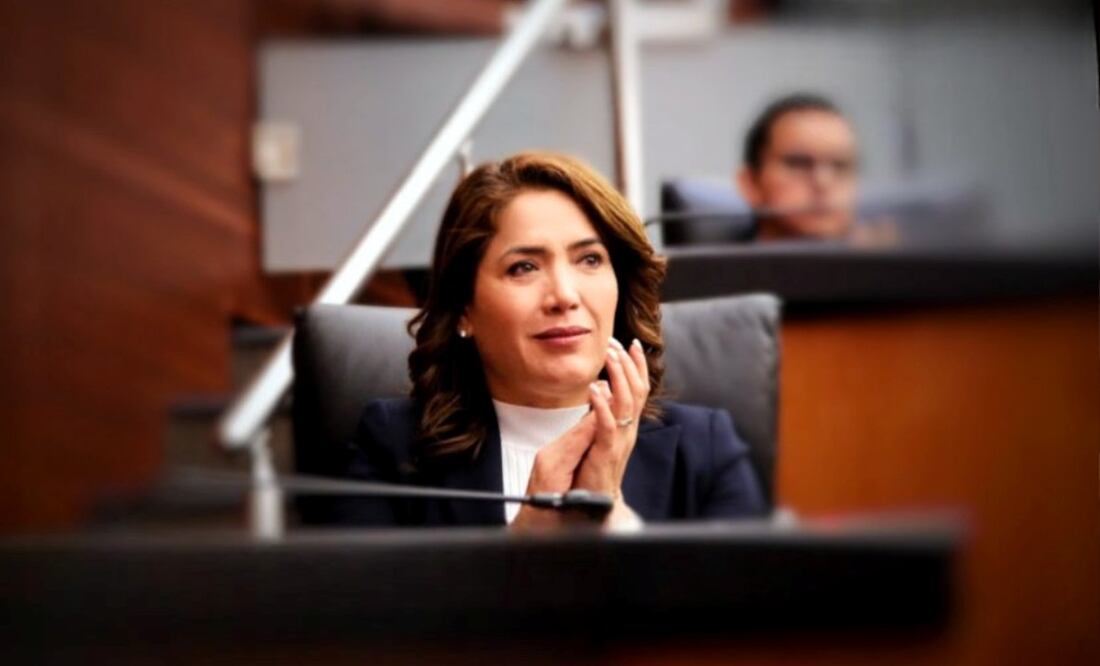 Senadora panista Ivideliza Reyes Hernández en una imagen de archivo. Foto: Especial