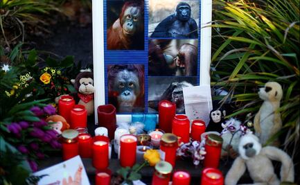 Incendio en zoo de Alemania causa la muerte de al menos 30 monos y reaviva debate sobre pirotecnia de Fin de Año