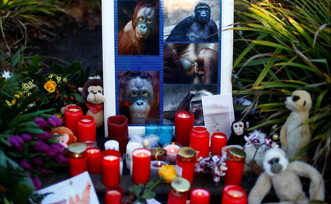 REUTERS/Thilo Schmuelgen