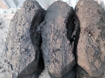 Hallan vestigios de posible canoa que surcó el Lago de Chalco tras la caída de Tenochtitlan