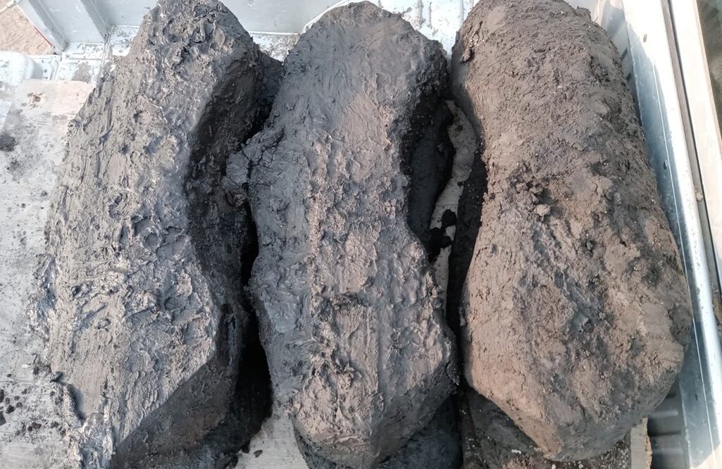 FOTO: Especial/ Edomex/