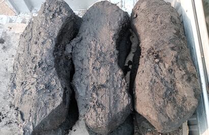 Hallan vestigios de posible canoa que surcó el Lago de Chalco tras la caída de Tenochtitlan