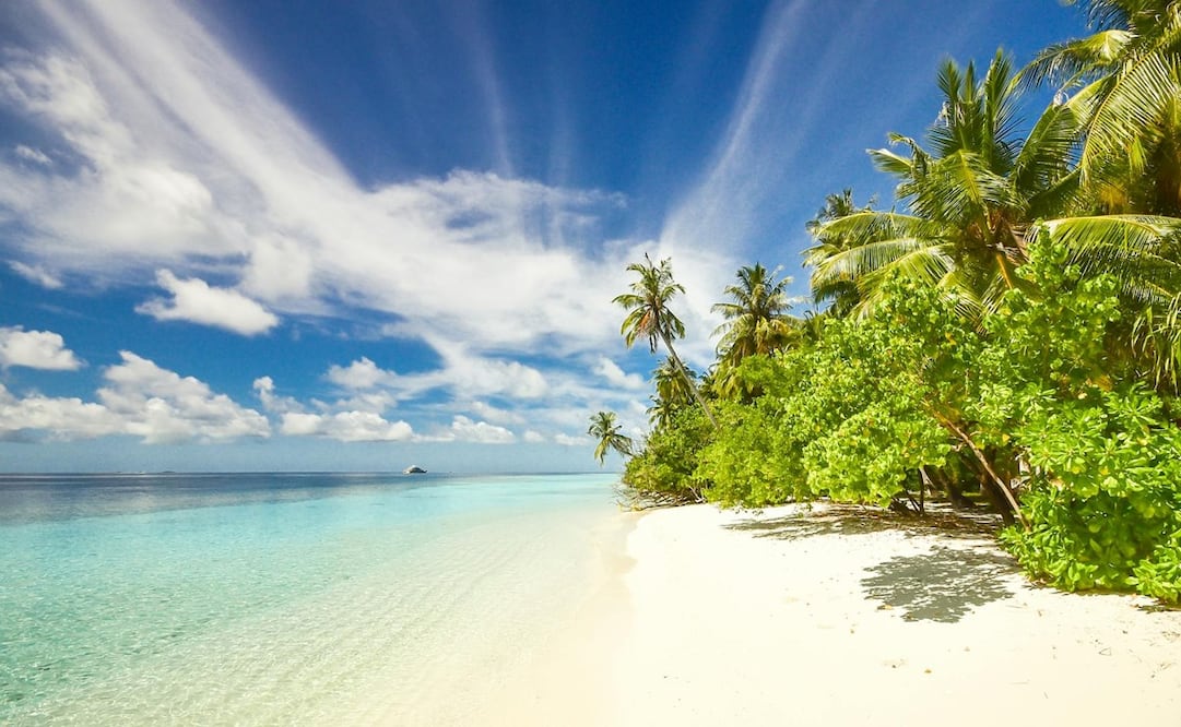 Algunas playas de México destacan por su nivel de excelencia en limpieza. Foto: Pexels