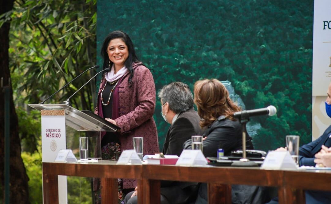 Foto: Twitter @alefrausto