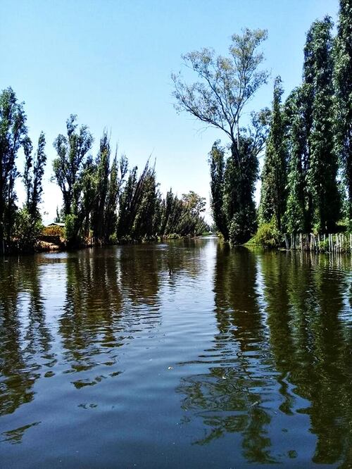 Foto: (Tomada de Facebook: Ruta Turistica Tlahuac)