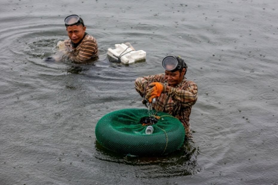 Así enfrentan los pescadores de Veracruz la pandemia
