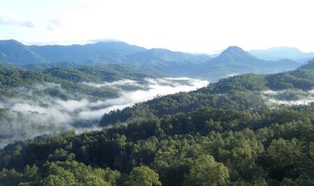 Conafor incrementa presupuesto para reforestación en Guerrero