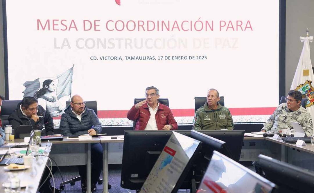 Tamaulipas ejecuta acciones para proteger a las familias más vulnerables. Foto: Especial