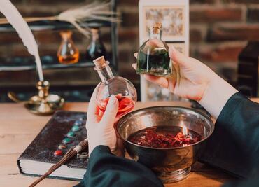 Lánzate al Callejón Diagon de Invierno de Harry Potter en CDMX