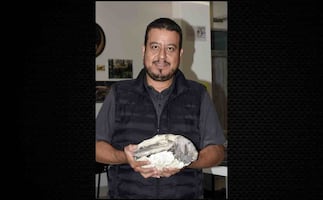 Laboratorio de la BUAP “resucita” fósiles de hace 90 millones de años; estudios permiten conocer evolución de la biodiversidad de Puebla
