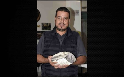 Laboratorio de la BUAP “resucita” fósiles de hace 90 millones de años; estudios permiten conocer evolución de la biodiversidad de Puebla