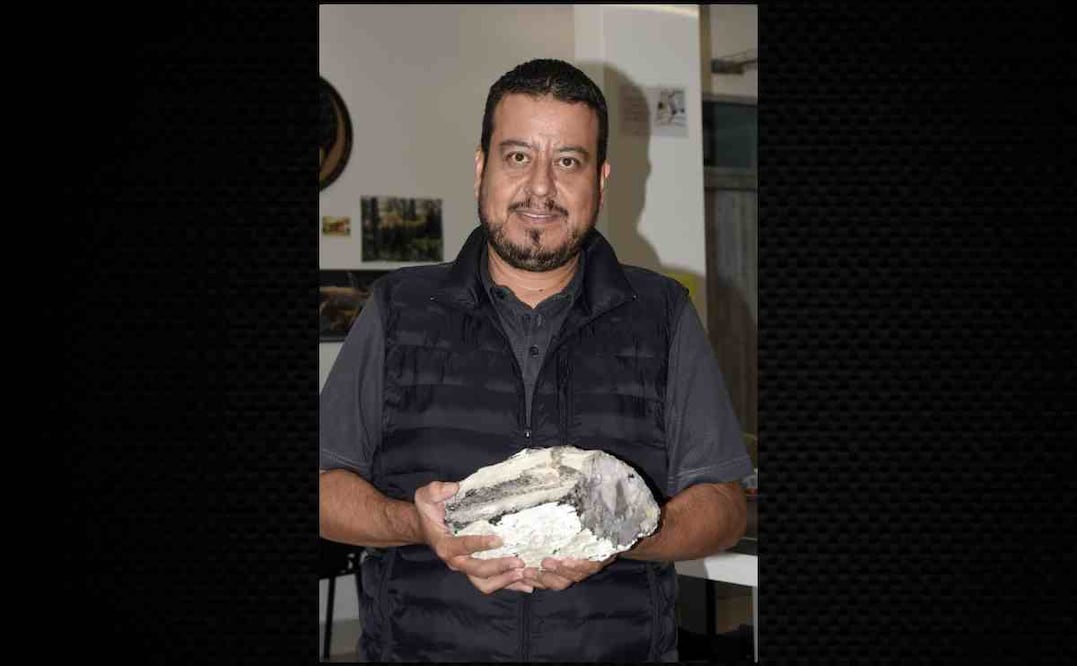 El doctor Carlos Castañeda Posadas es el nuevo mesías de los fósiles que son una evidencia de la vida en el pasado. Foto: Especial