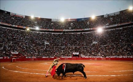 Simpatizantes de corridas de toros se dicen sorprendidos tras propuesta de Clara Brugada; "no podemos perder nuestras tradiciones", dicen