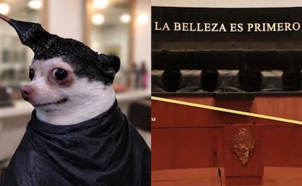 Salón de belleza en el Senado desata la mejor ola de memes; usuarios no perdonan