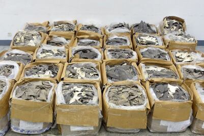 1.2 toneladas de aletas de tiburón secas, provenientes de México, son decomisadas en Aeropuerto de Hong Kong