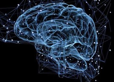 Cultivan microtejido cerebral con un chip impreso en 3D