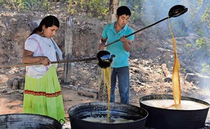 Piloncillo, dulce tradición que perdura en Guerrero