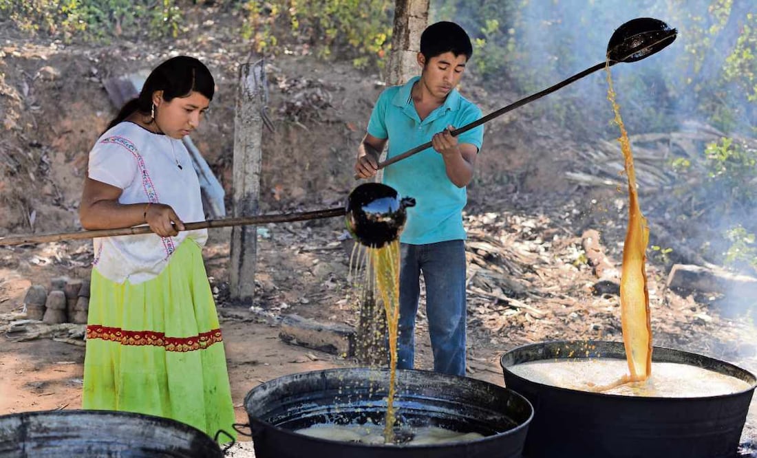 Piloncillo, dulce tradición que perdura en Guerrero | El Universal