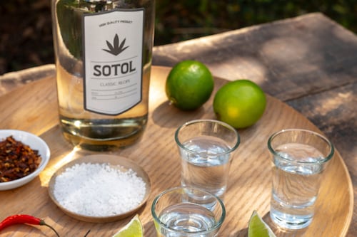 Vuelve el Foro Nacional de Sotol a la CDMX: todo lo que debes saber antes de asistir