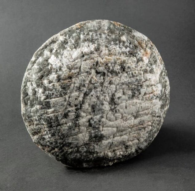 Los 4 quesos mexicanos que ganaron medallas en el World Cheese Awards 