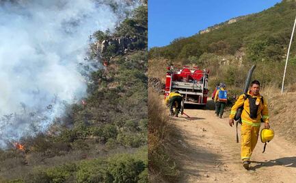 Fuego devora 20 hectáreas de pastizal en cerro de Napateco; bomberos atienden otros incendios en Hidalgo