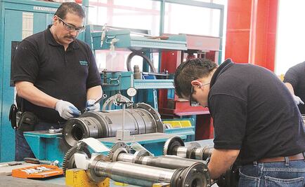 Analiza Senado Ley de Empleo Temporal para desplazados