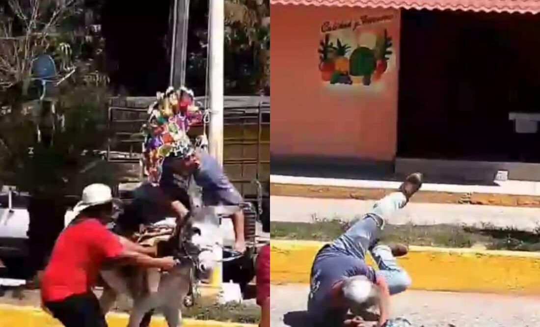 El alcalde de Atlapexco, Hidalgo se cae de un burro durante festejos del carnaval (05/03/2025). Foto: Especial