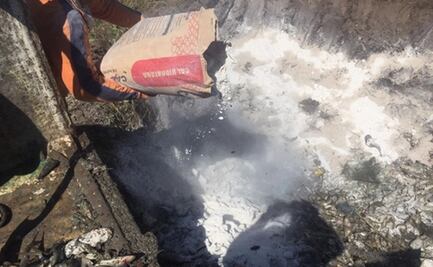 Tras muerte de peces, mantienen cerco sanitario en bahía de Teacapan, Sinaloa