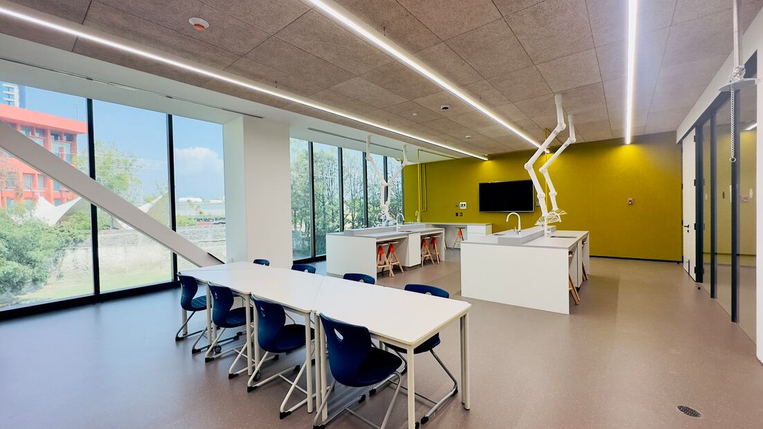 Imágenes del nuevo campus de Humanitree. Foto: Twitter