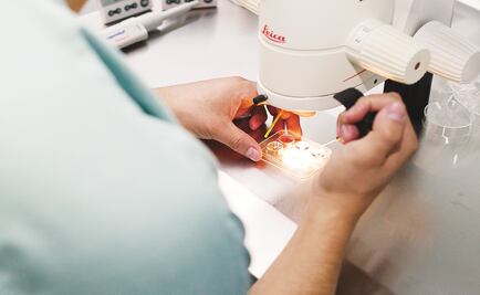 Scientific Production in Mexico increased 23%