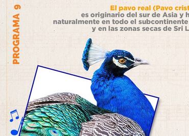 La Orquesta Sinfónica de Minería inicia temporada