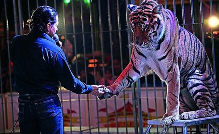 Circos podrán conservar animales, pero no usarlos: Profepa