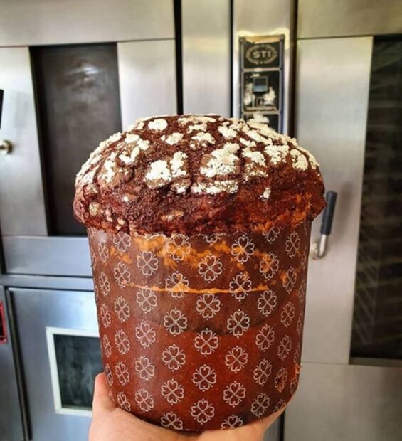 Dónde comprar panettone en la CDMX