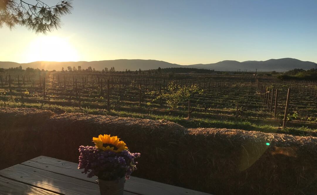 Fotos: Issa Plancarte / atardecer en el Valle