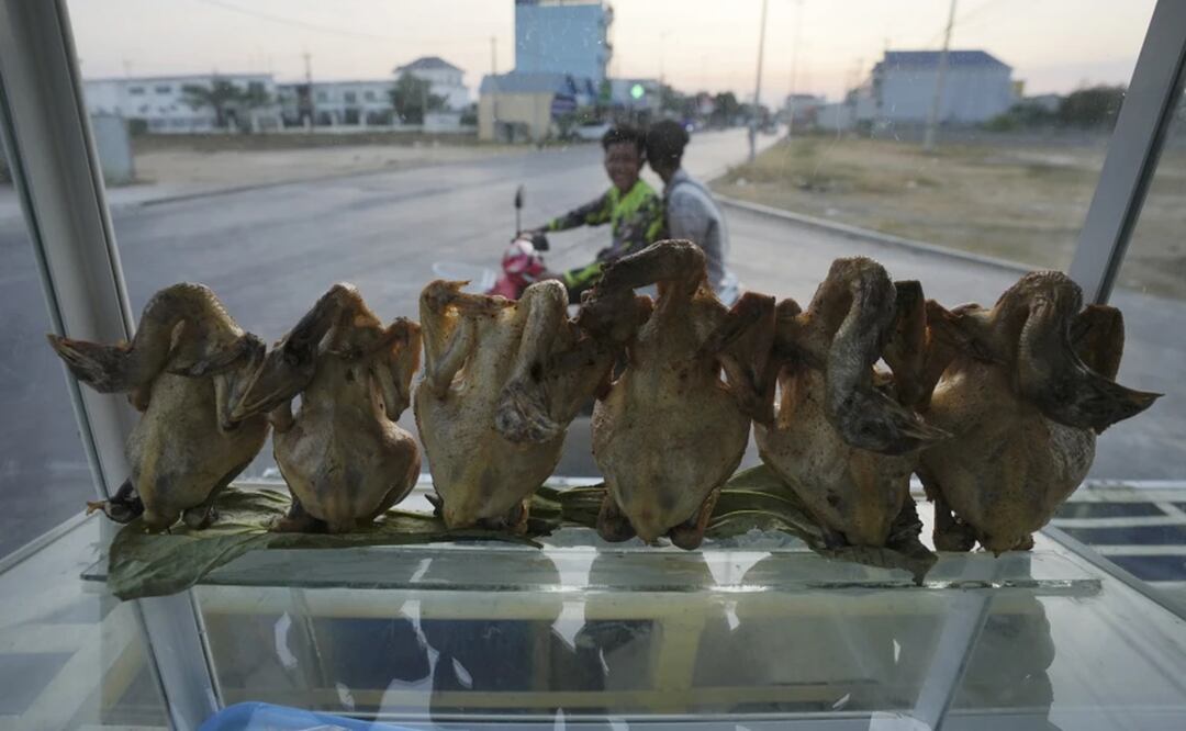 Una tienda vende pollos en Nom Pen, Camboya, el 12 de febrero de 2024. Foto: AP