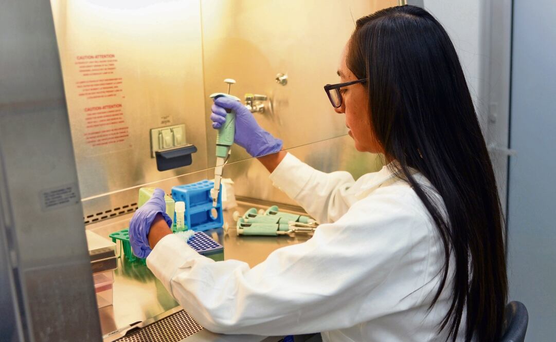 Provee de nuevos modelos animales transgénicos a los laboratorios que realizan investigaciones biomédicas en ellos. Foto: UNAM