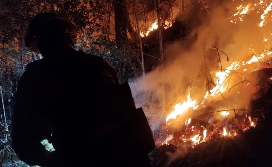 Se comunicó a la población que, por el momento no es necesario el apoyo de personas voluntarias sin conocimiento en la atención de incendios forestales, toda vez que el riesgo es latente. Foto: Especial