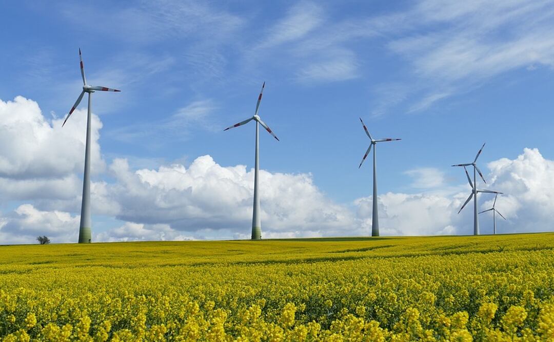 Las energías eólica y solar proporcionaron más electricidad en la Unión Europea que la proveniente del gas en 2022. Foto: Ilustrativa. Pixabay