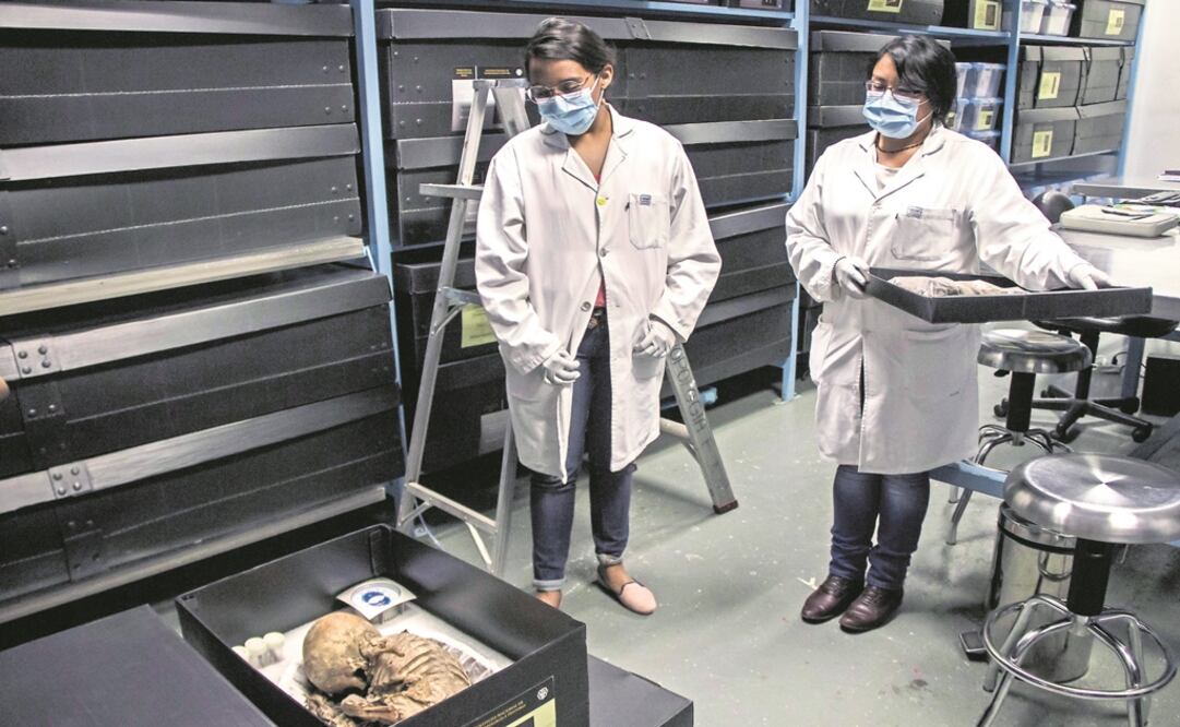 Foto: Archivo/ EL UNIVERSAL                                   