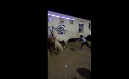 Expertos reprueban comportamiento de Gamero