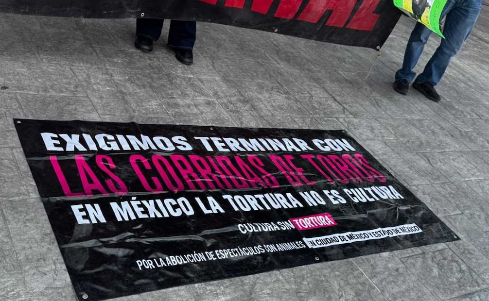 Critican activistas consulta ciudadana sobre corridas de toros en Hidalgo; acusan intereses políticos.
Foto: Especial.