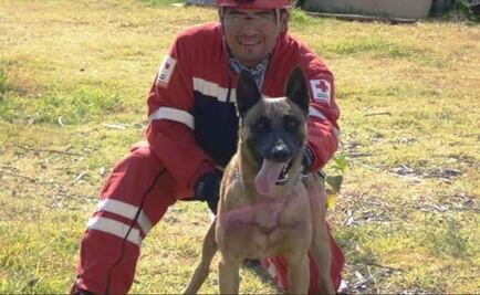 Binomio Fausto y “Balto” apoyan rescate en CDMX