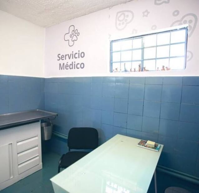 ¡Lleva a tu peludito! Inauguran veterinaria gratuita en la Cuauhtémoc