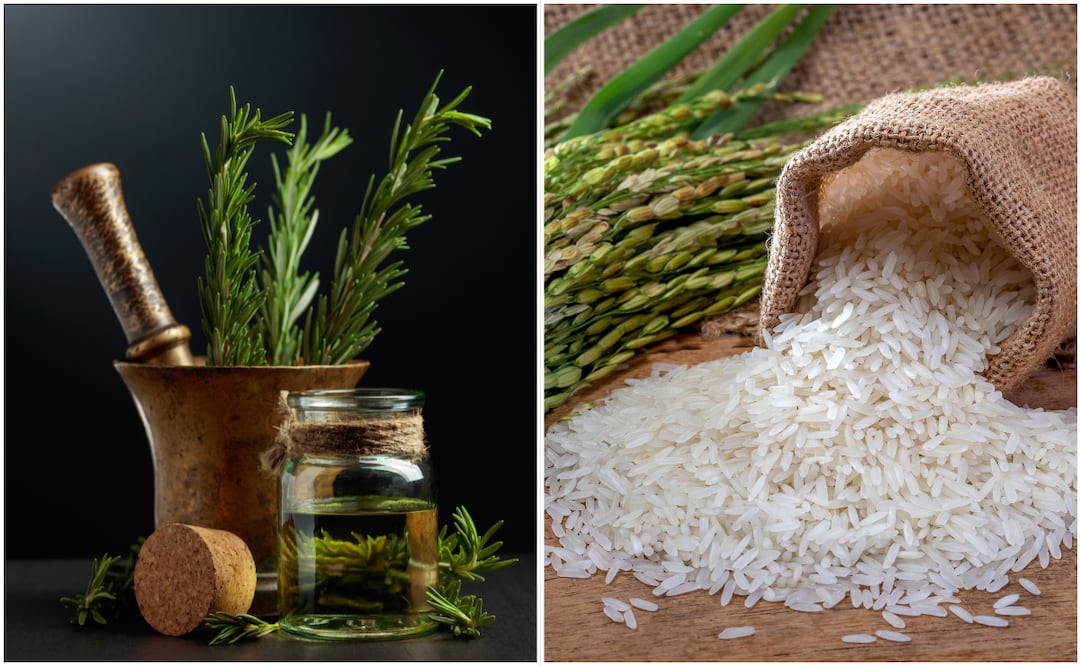 ¿Para qué sirve dejar un frasco de arroz con romero en la casa?; conoce su utilidad. Foto: Canva