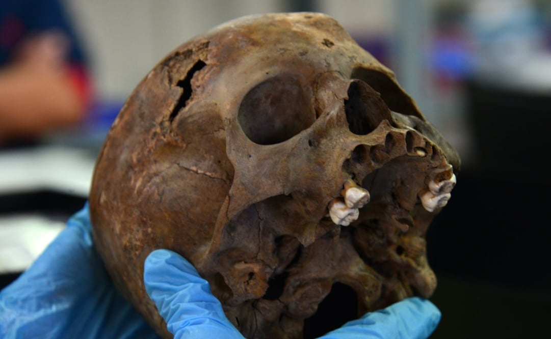 Restos mortales de un niño acompañado de adornos corporales característicos de Huitzilopochtli. Foto: Cortesía INAH