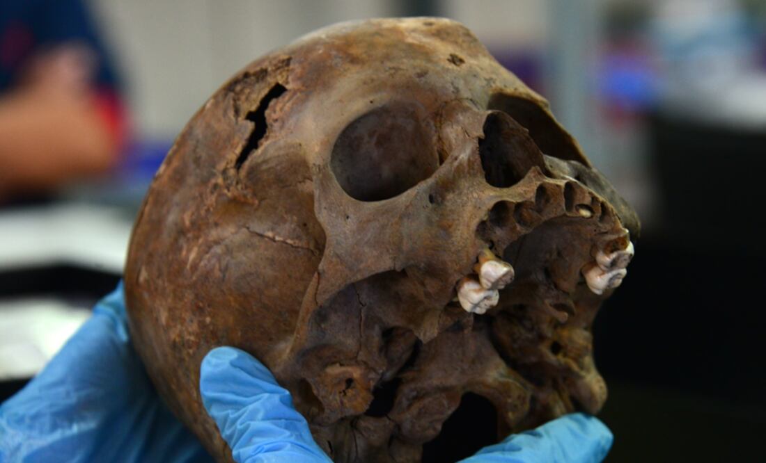 Restos mortales de un niño acompañado de adornos corporales característicos de Huitzilopochtli. Foto: Cortesía INAH